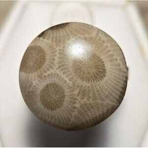 Unique Petoskey Stone vintage sterling silver ring sz 6 adjustable